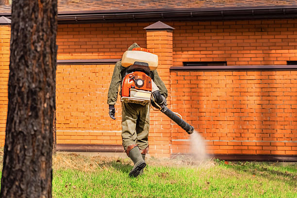 Trusted Mosquito Control service in Inwood, FL - Nex Pest Control